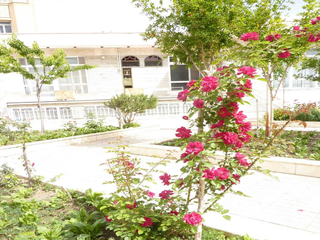 خیریه سالمندان احمدیان